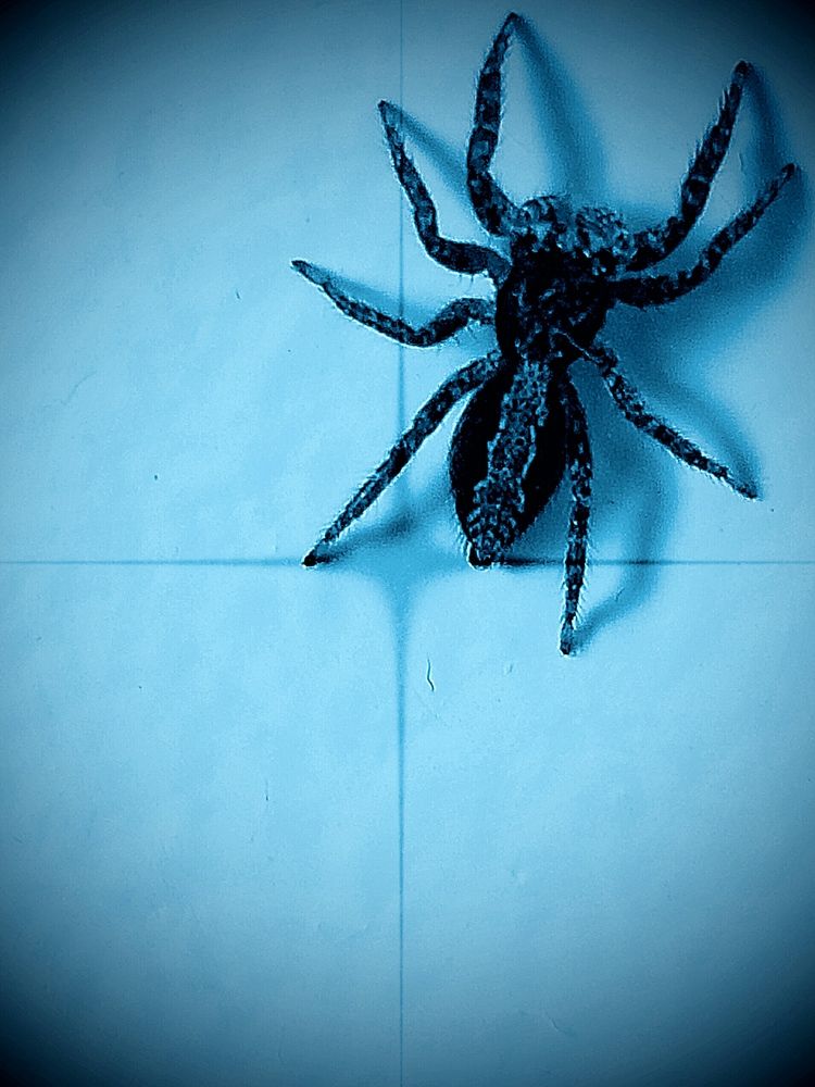 Photograph by Nikki May