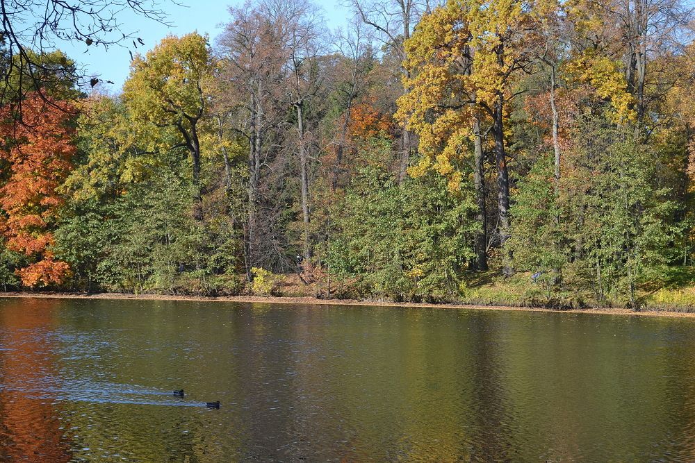 Photograph by Александр Морозов