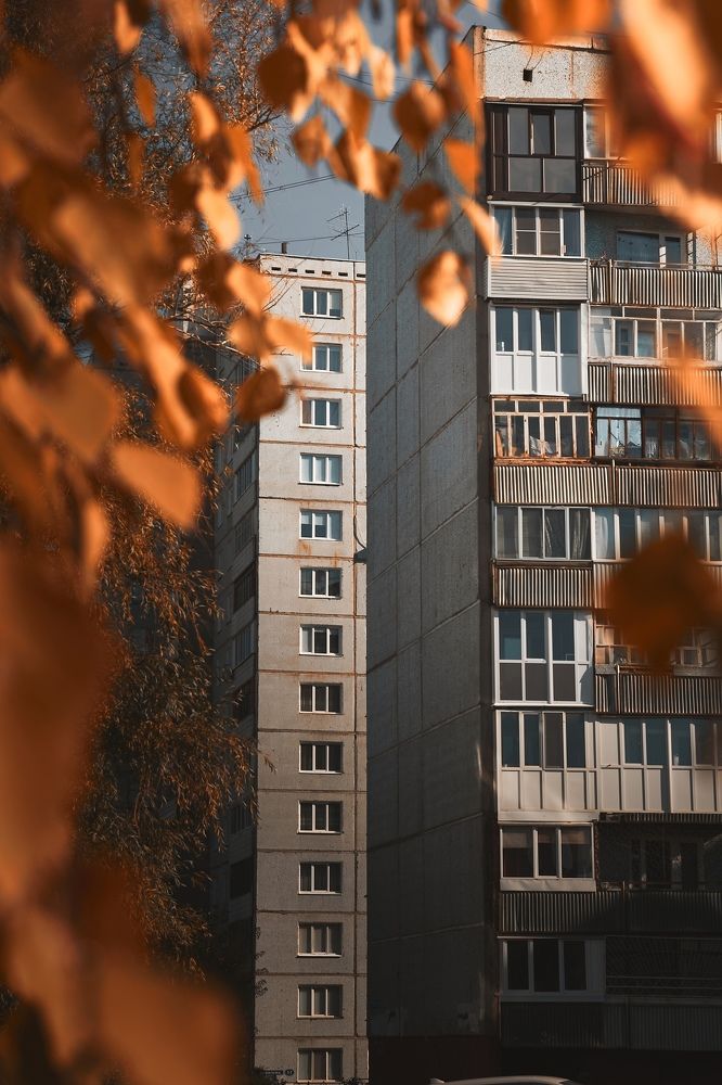 Фотография автора Печенин Максим