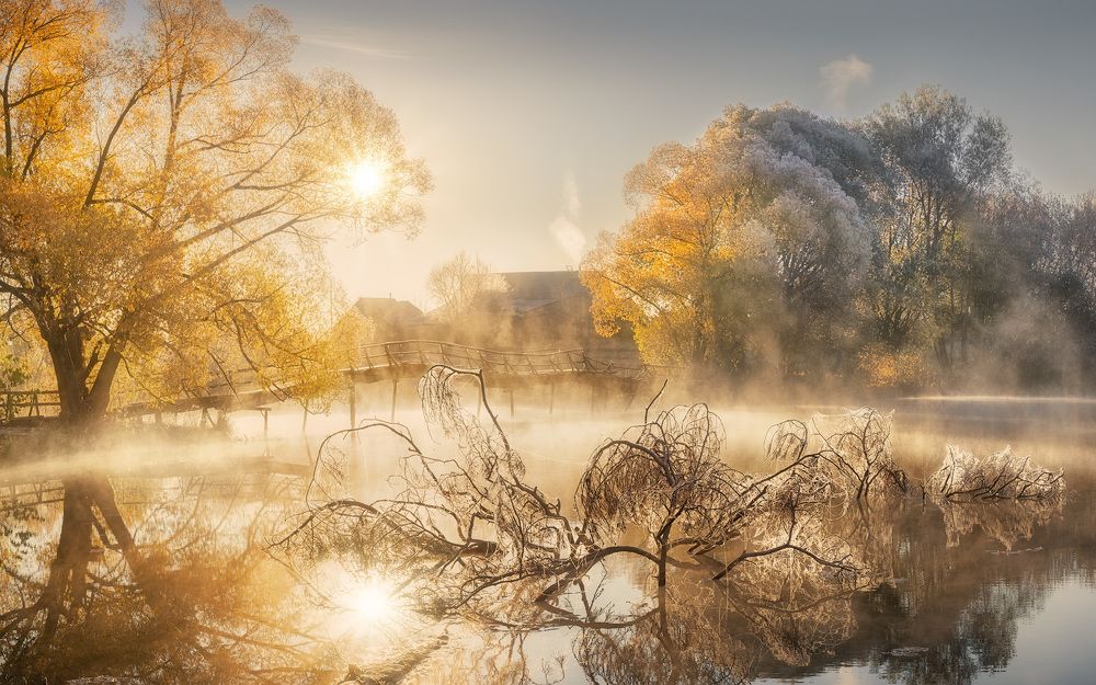 Фотография автора Дмитрий Медянцев
