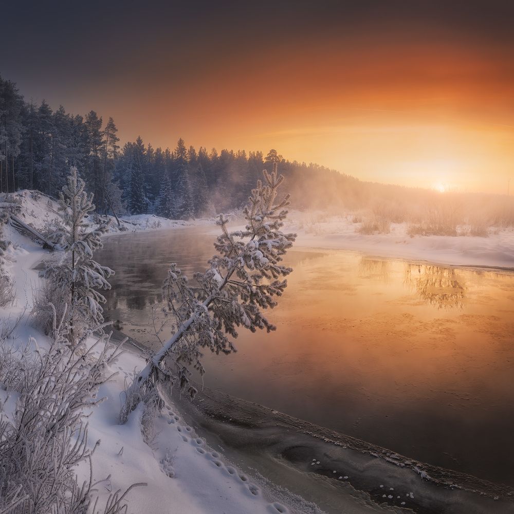 Фотография автора Дмитрий Медянцев