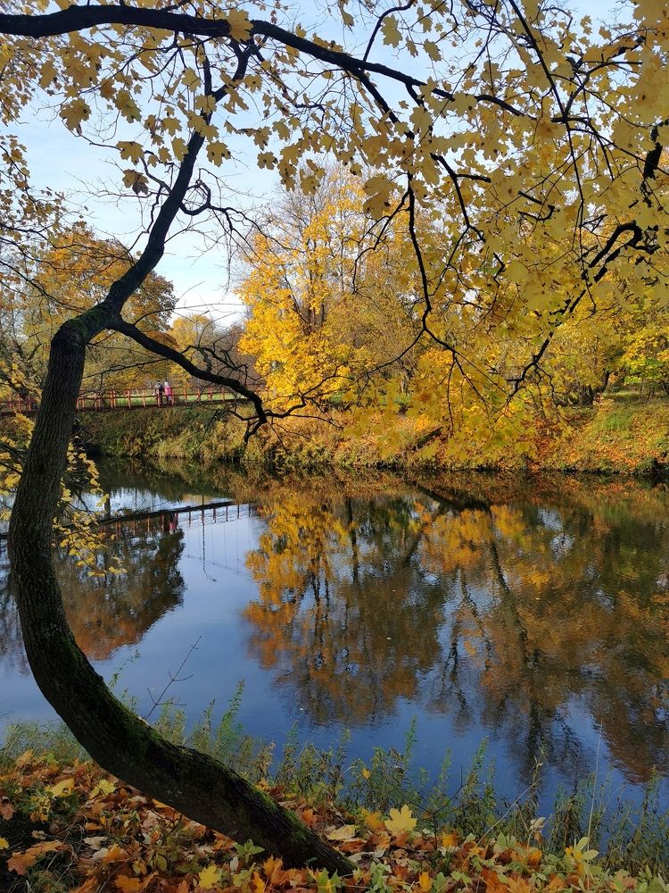 Photograph by Наталия Питолина