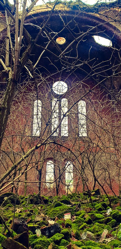 Тишина забвения