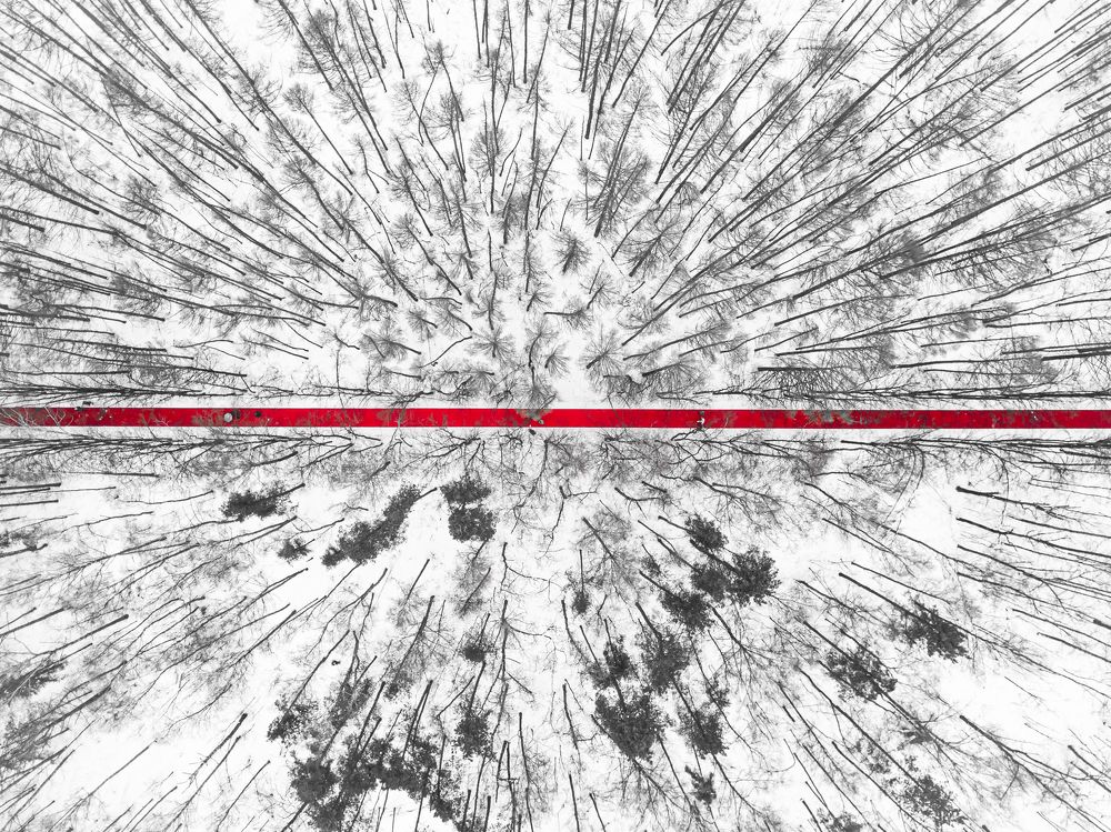 Фотография автора Виктор Вагнер