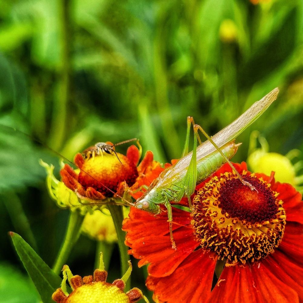 Photograph by Олика