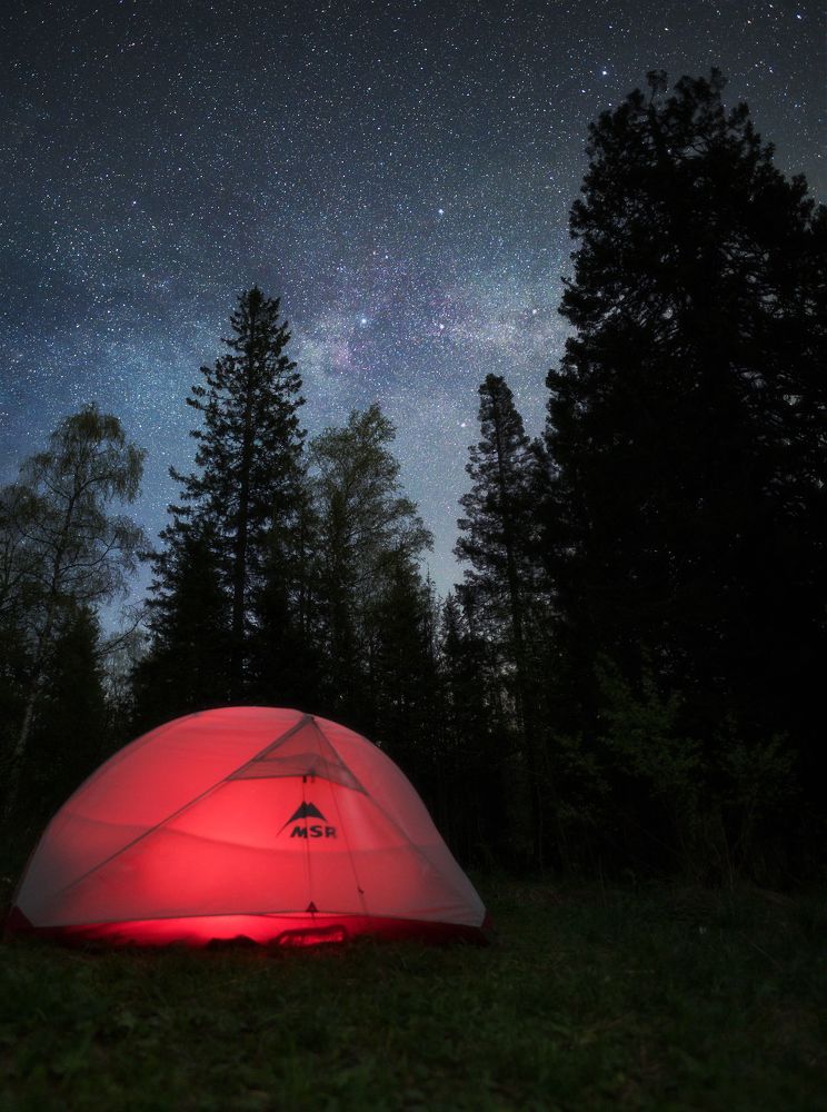 Photograph by Дмитрий Жучков