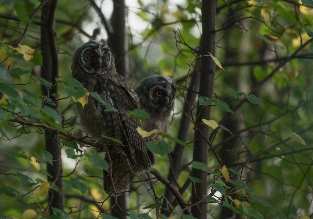 Photograph by Дмитрий Жучков