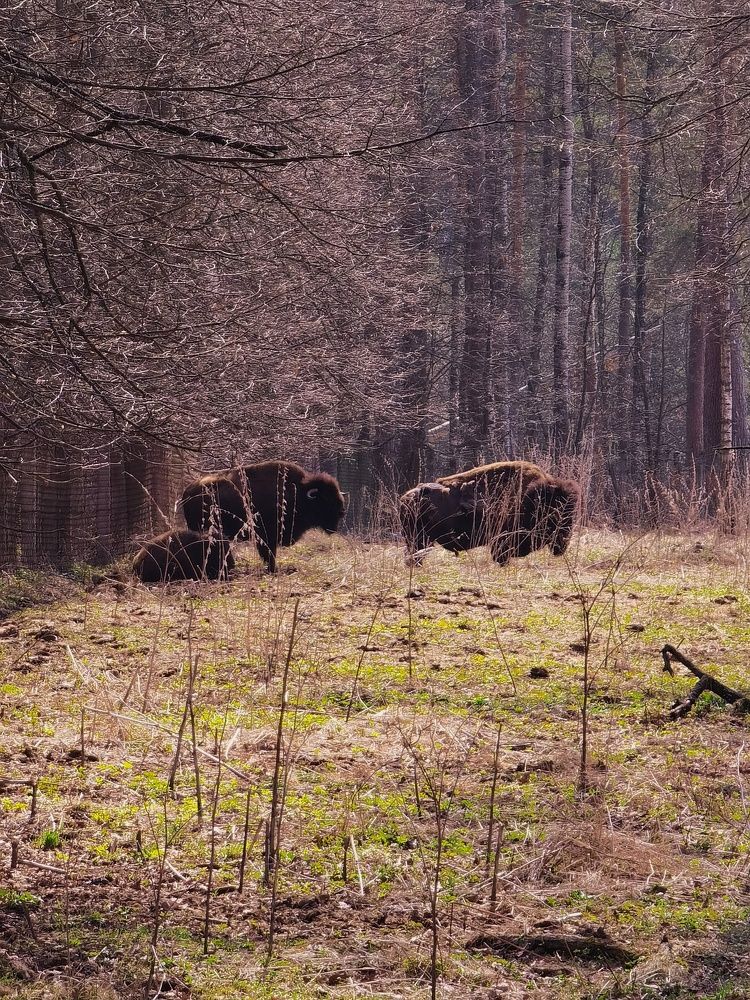 Photograph by Ольга