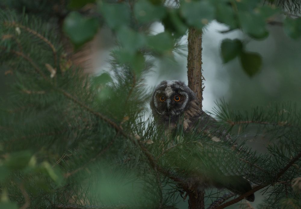 Photograph by Дмитрий Жучков