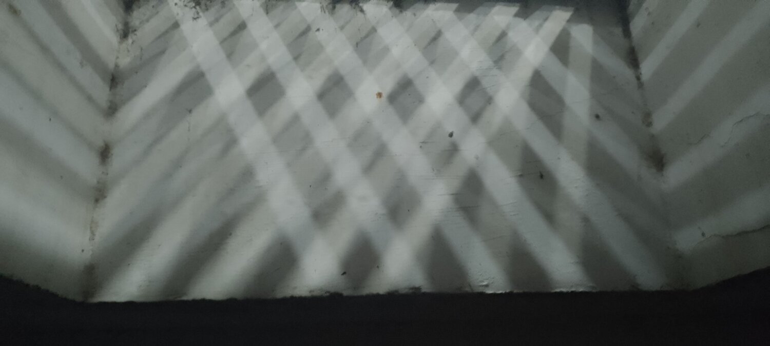Photo #7227385