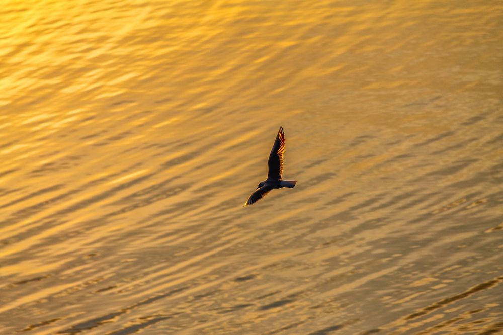 Photograph by Ильдар Гарифуллин