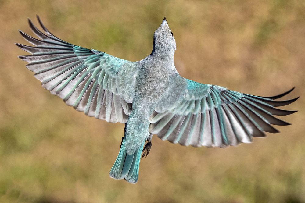 Photograph by Claudia Moraes