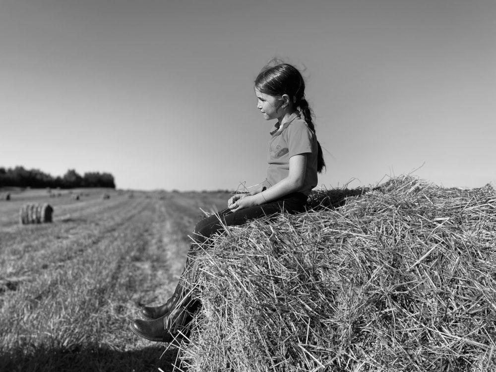 Farm routine