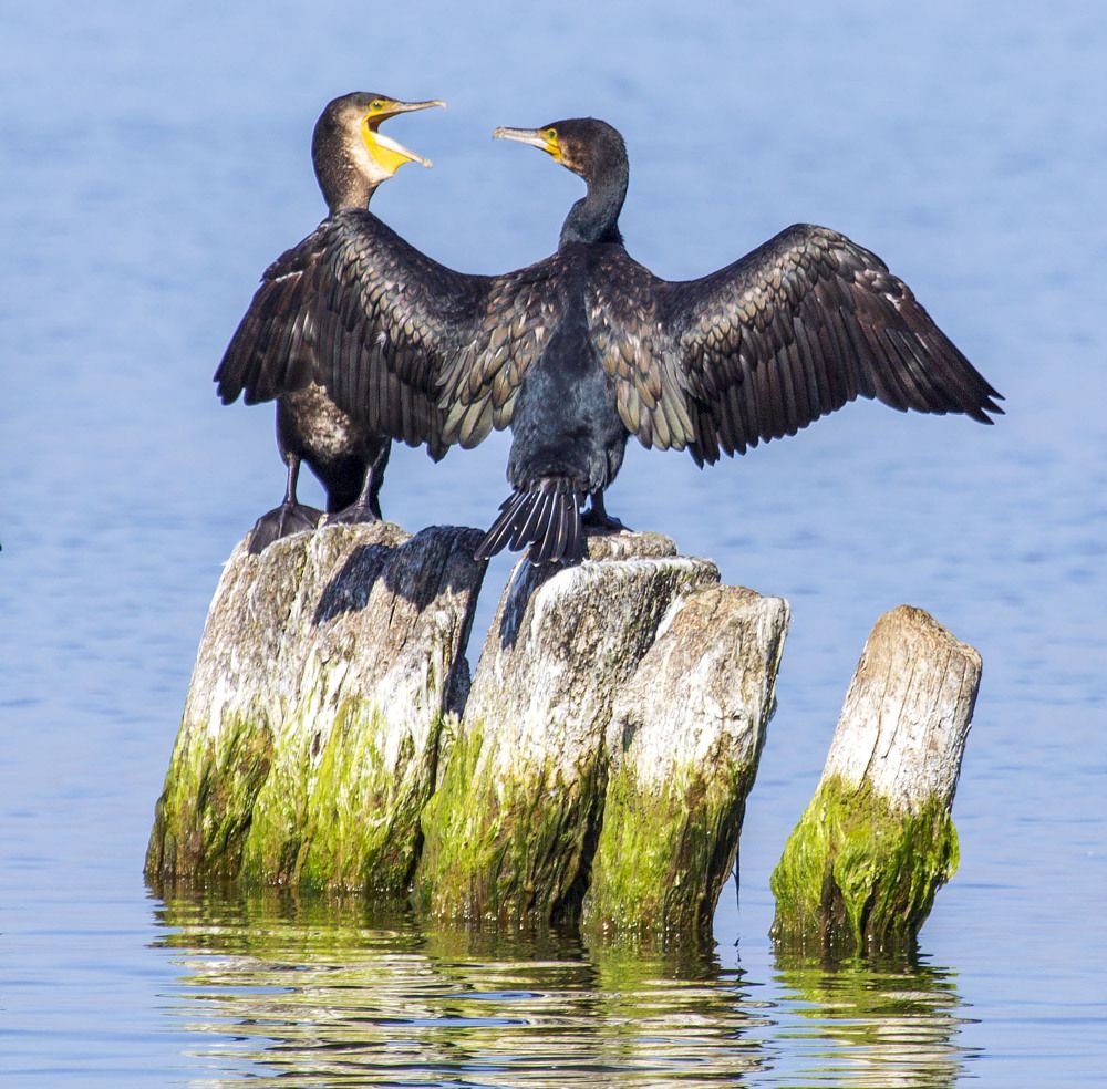 Photograph by Игорь Селин