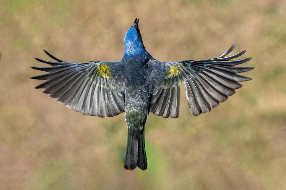 Photograph by Claudia Moraes