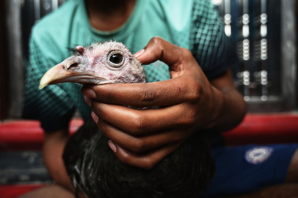 Photograph by Nahid Sheikh