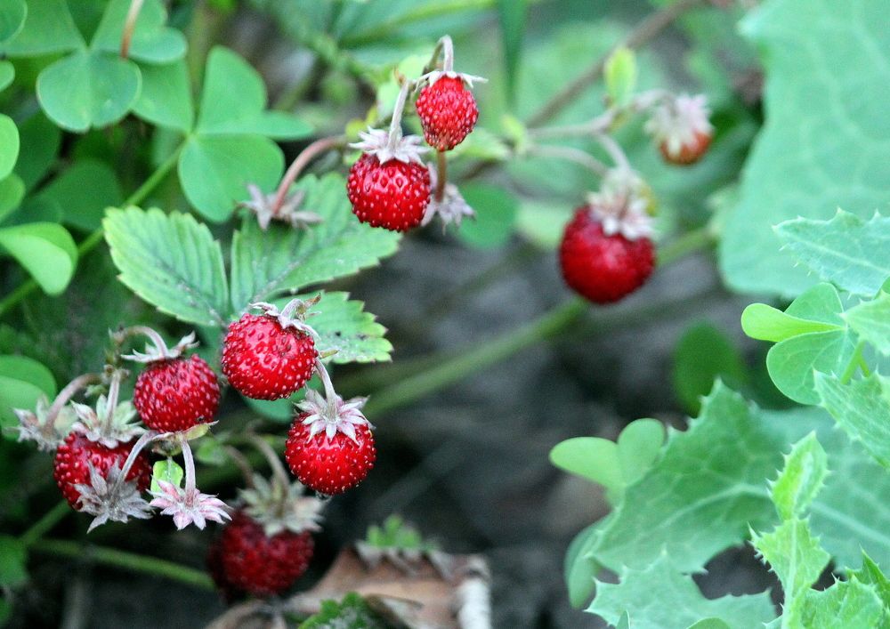 Photograph by Глеб Кузьминых