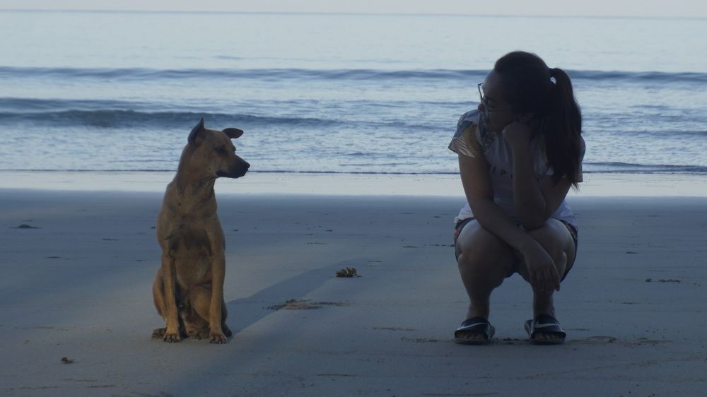 Photograph by Moureen Majakil