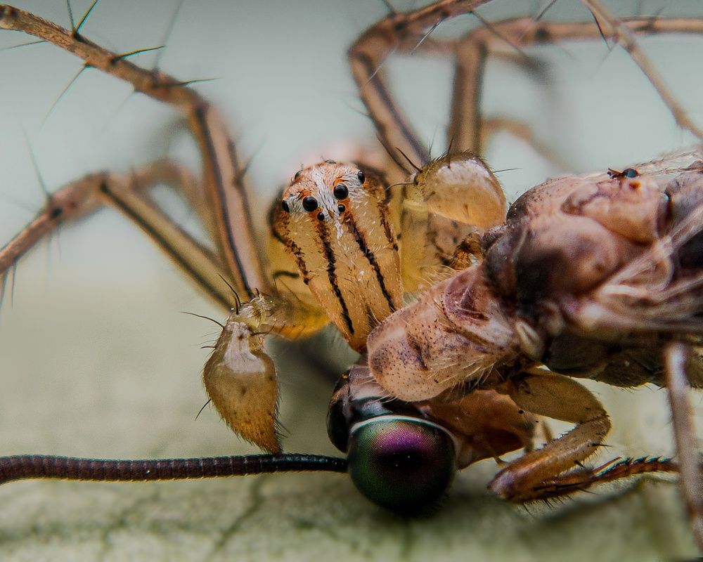 Фотография автора Devadeth Subhash