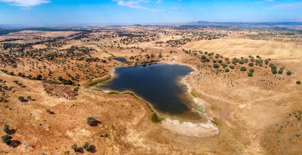 Photograph by Rui Santos