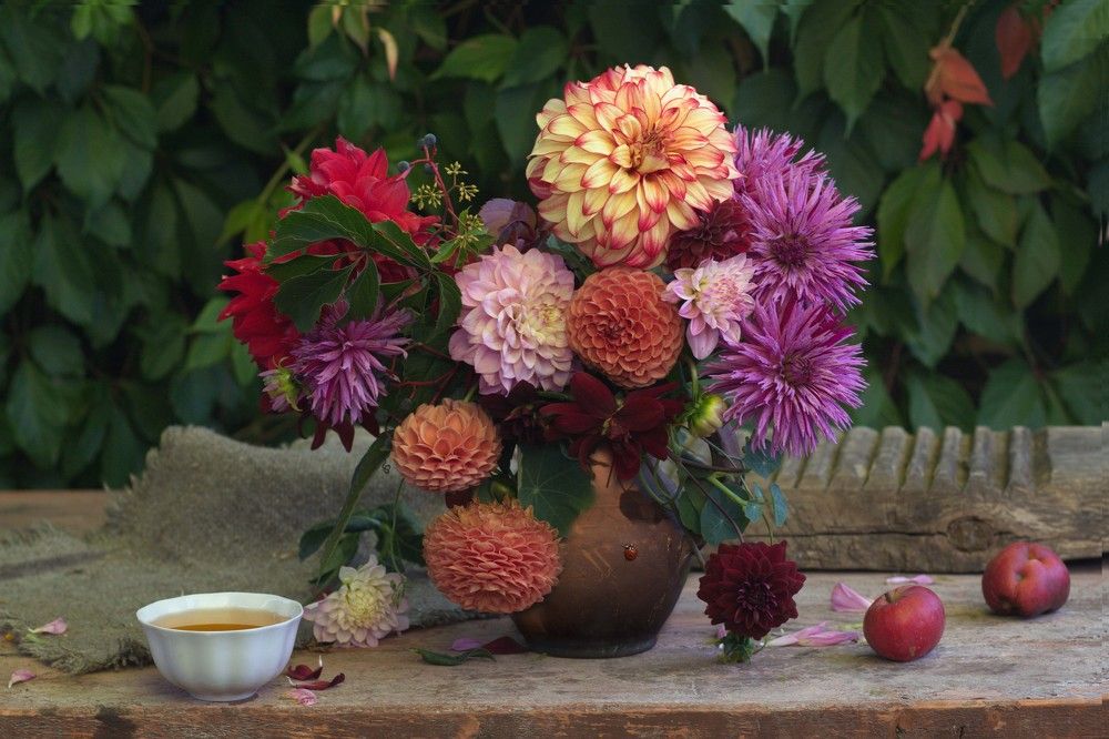 Фотография автора Валентина Петровна