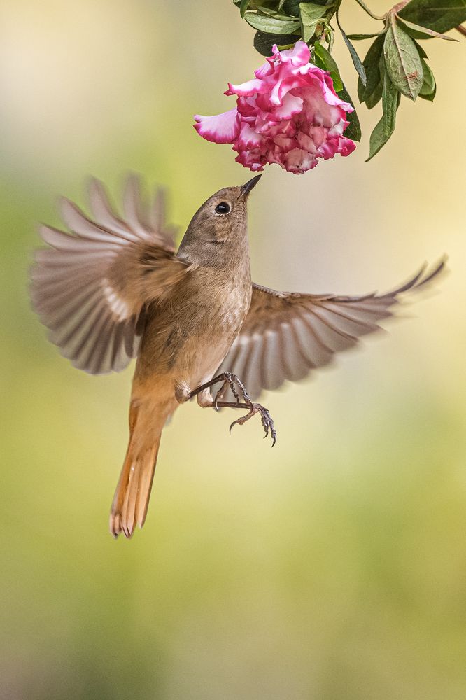 Photograph by Benny Chan