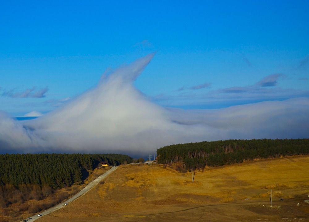 Photograph by Сергей Воронцов