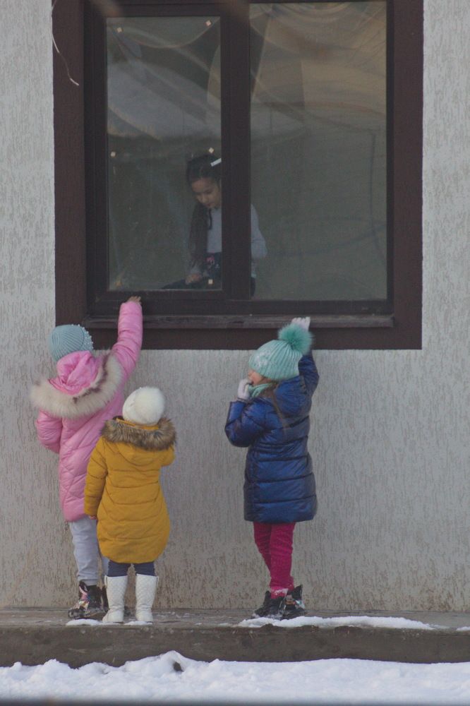 Лина,выходи!