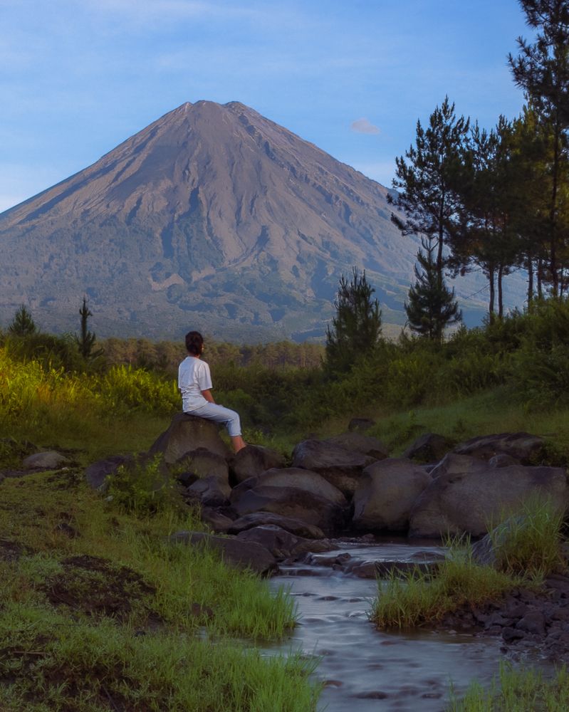 earth respiratory system