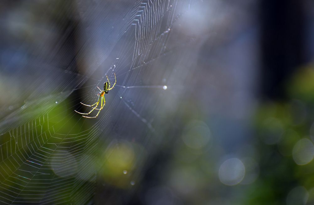 Photograph by Yosa Fiandra