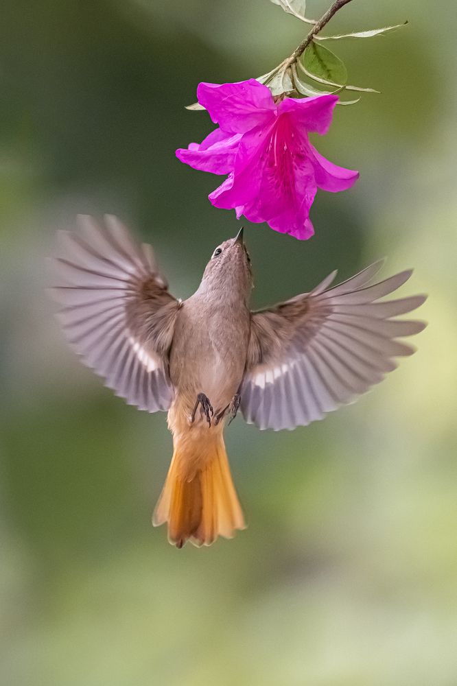 Photograph by Benny Chan