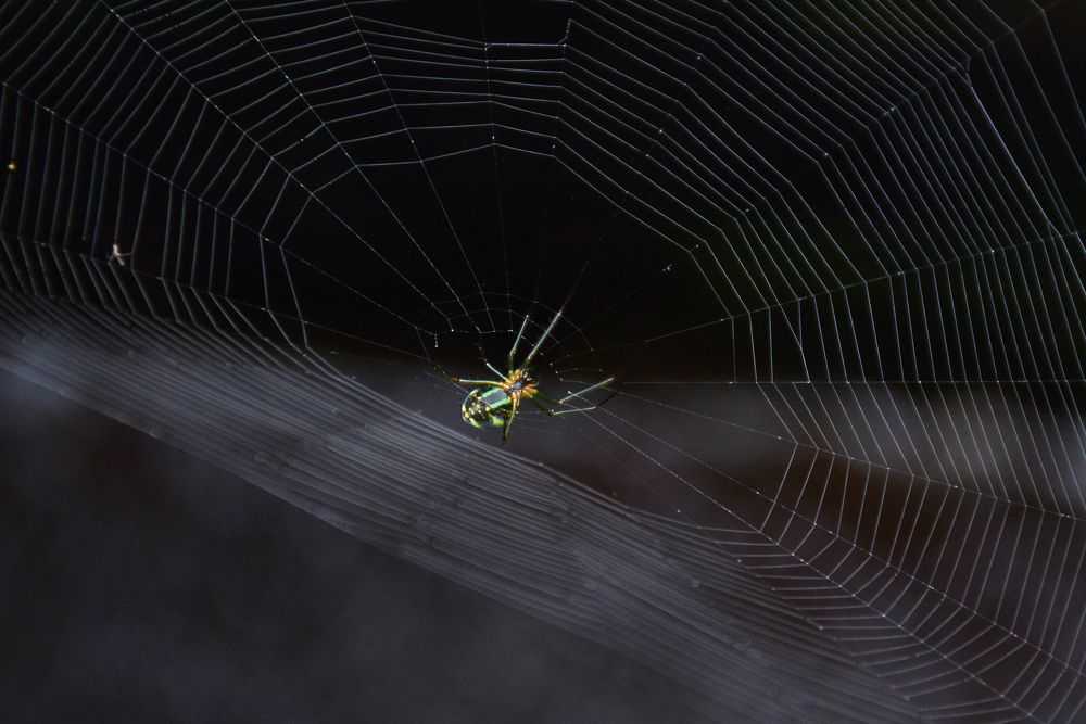 Photograph by Yosa Fiandra