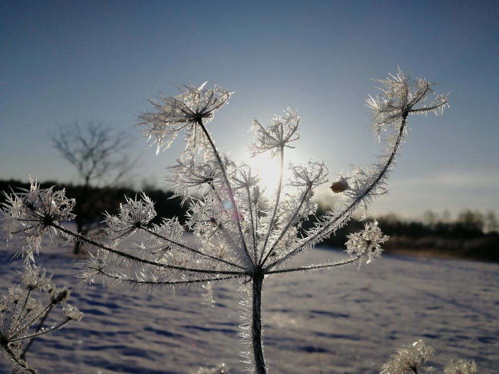 Photograph by Сергей Заглумин