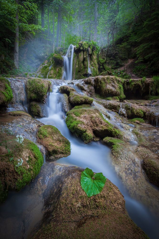 Photograph by Demir Pepic