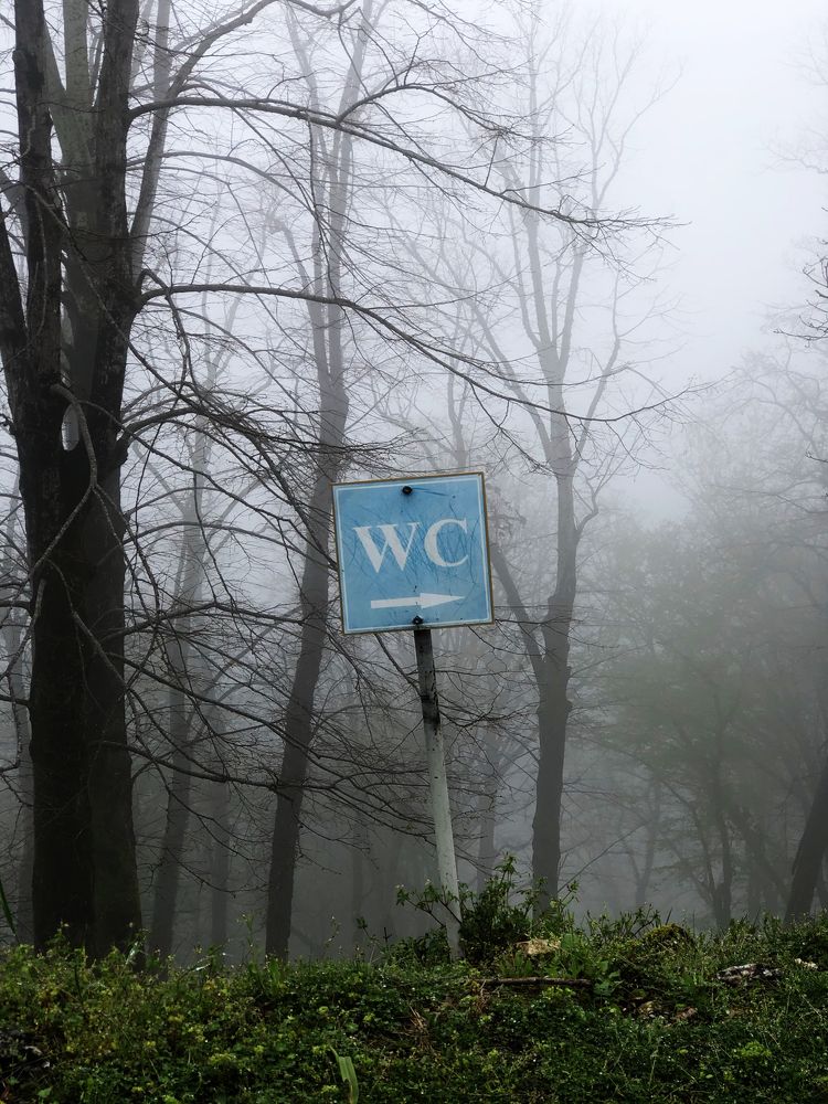 Photograph by Татьяна Калайда