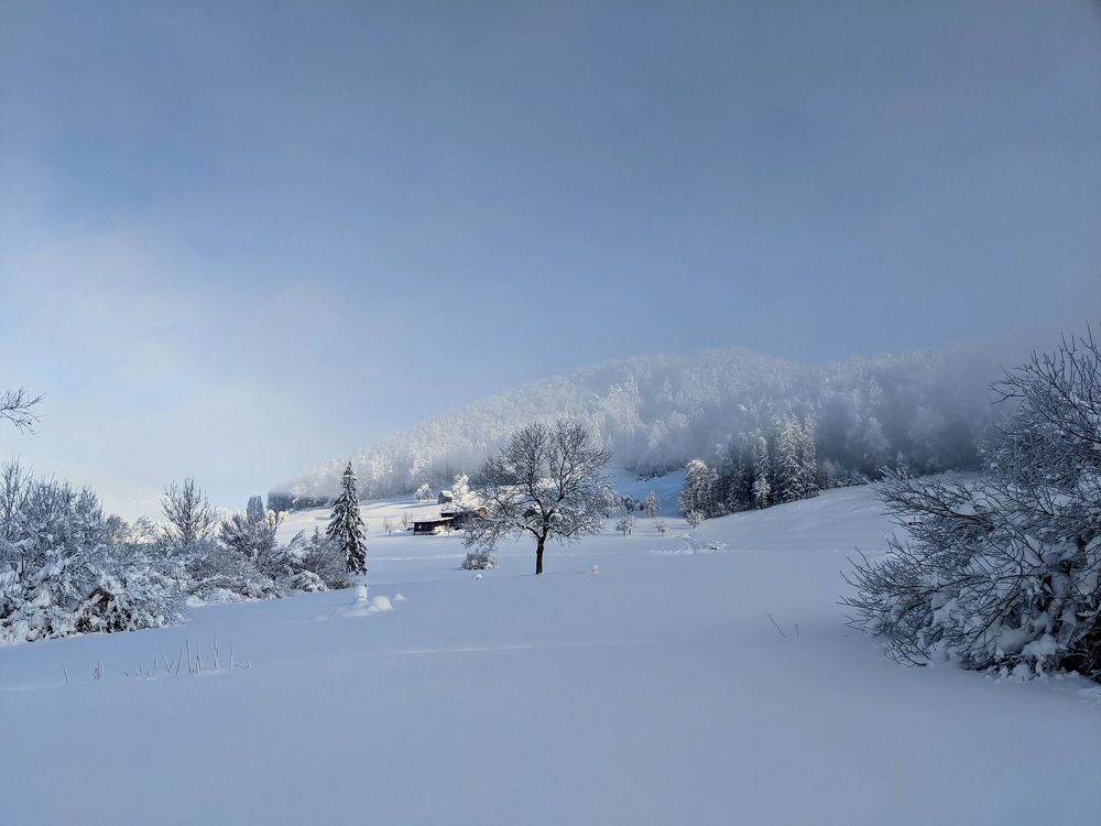 Photograph by Beata White