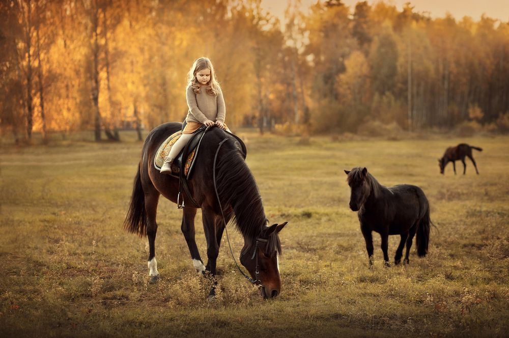 Photograph by Ольга Суторман