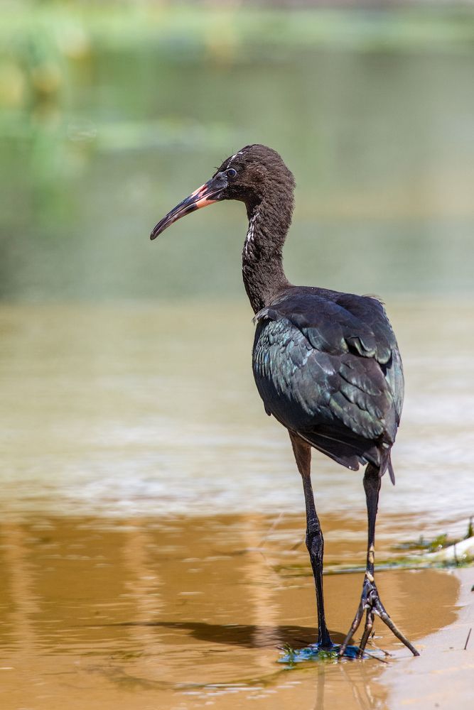 Photograph by Виктор Плахотин