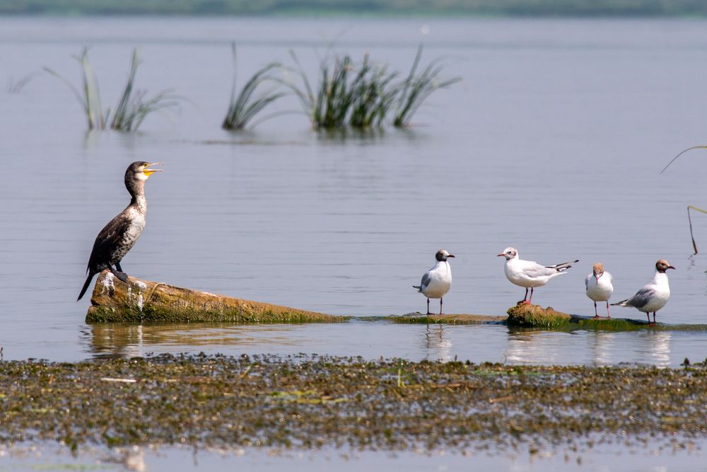 Photograph by Виктор Плахотин