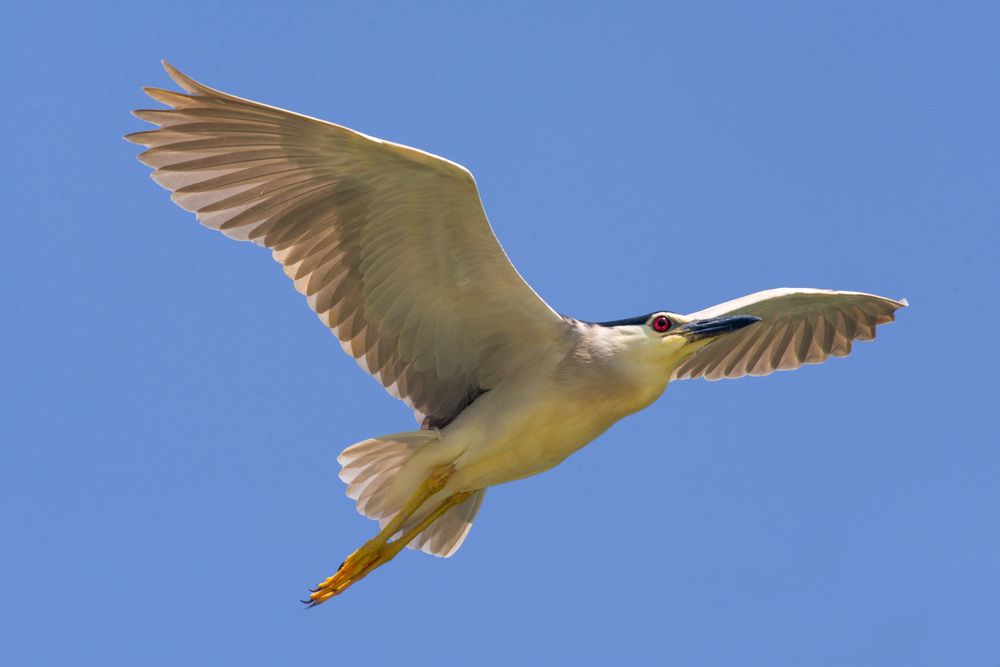 Photograph by Виктор Плахотин