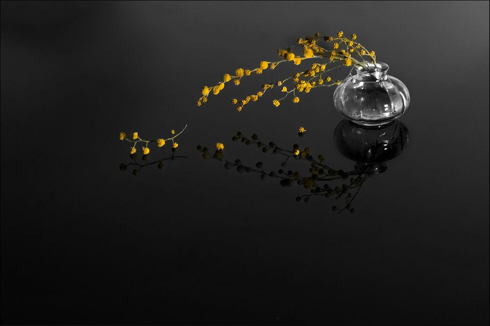 Photograph by Ольга Заболотская