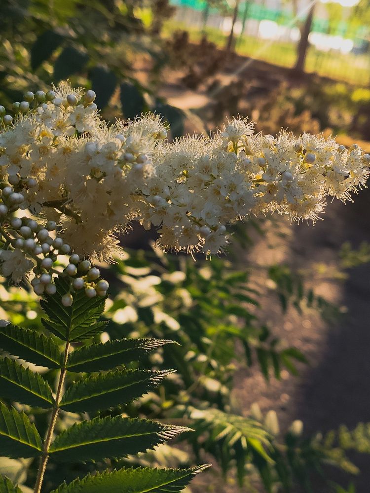 Photograph by Светлана