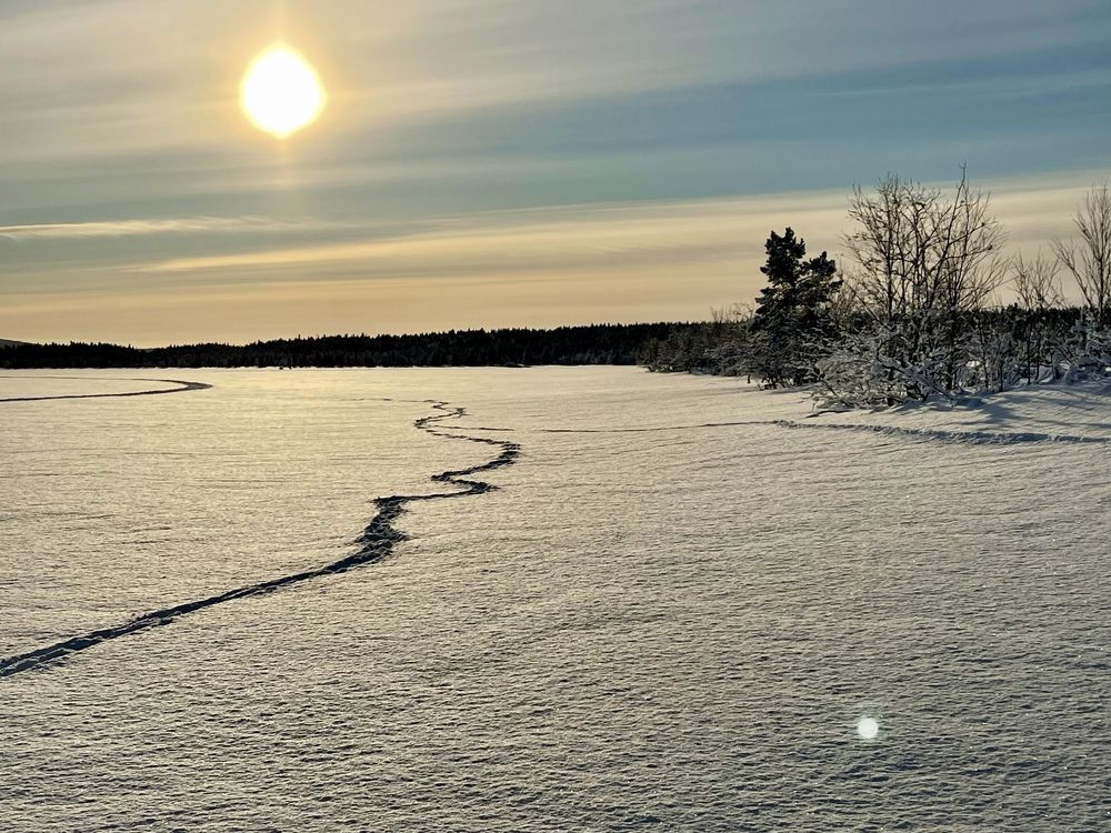 Фотография автора Юлия Шумейко