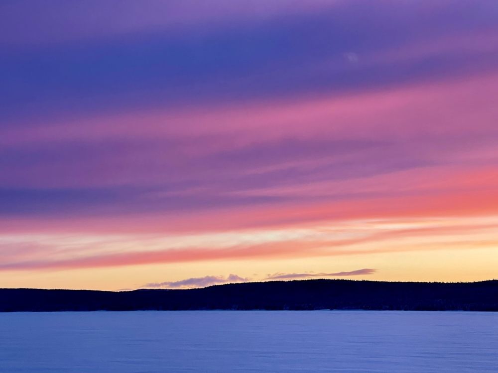 Фотография автора Юлия Шумейко