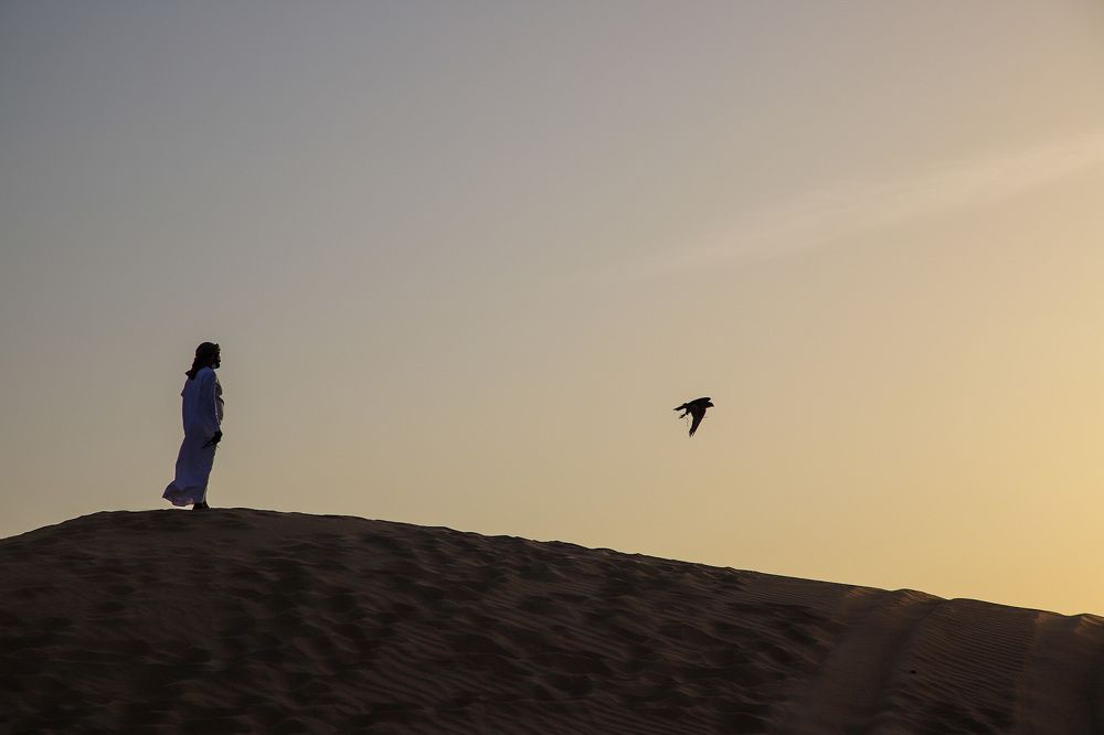 Photograph by Ирина Харлова
