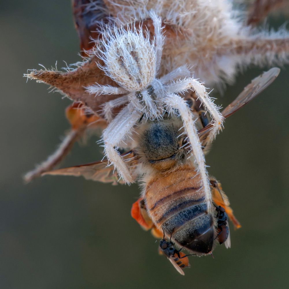 Photograph by Михаил Домешек