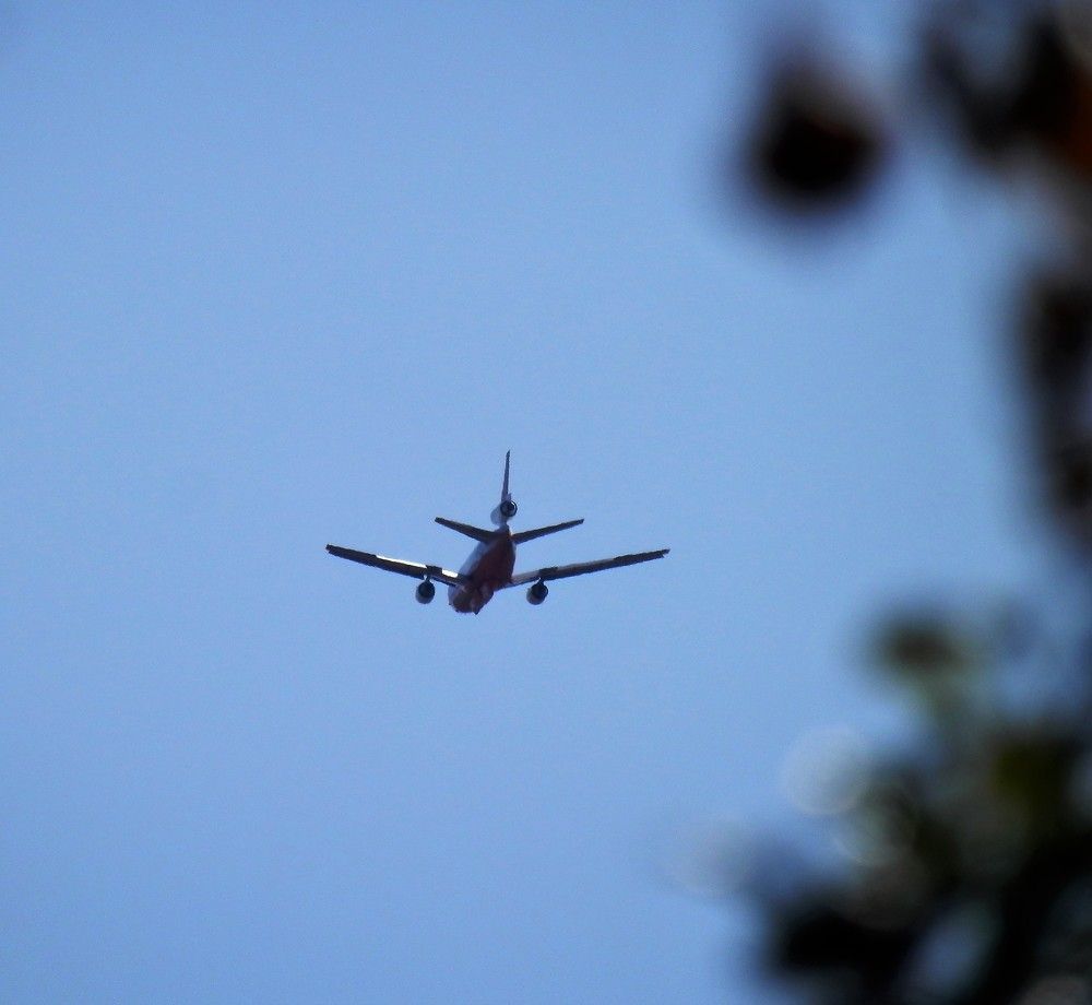 Photograph by Kirsteen Isles