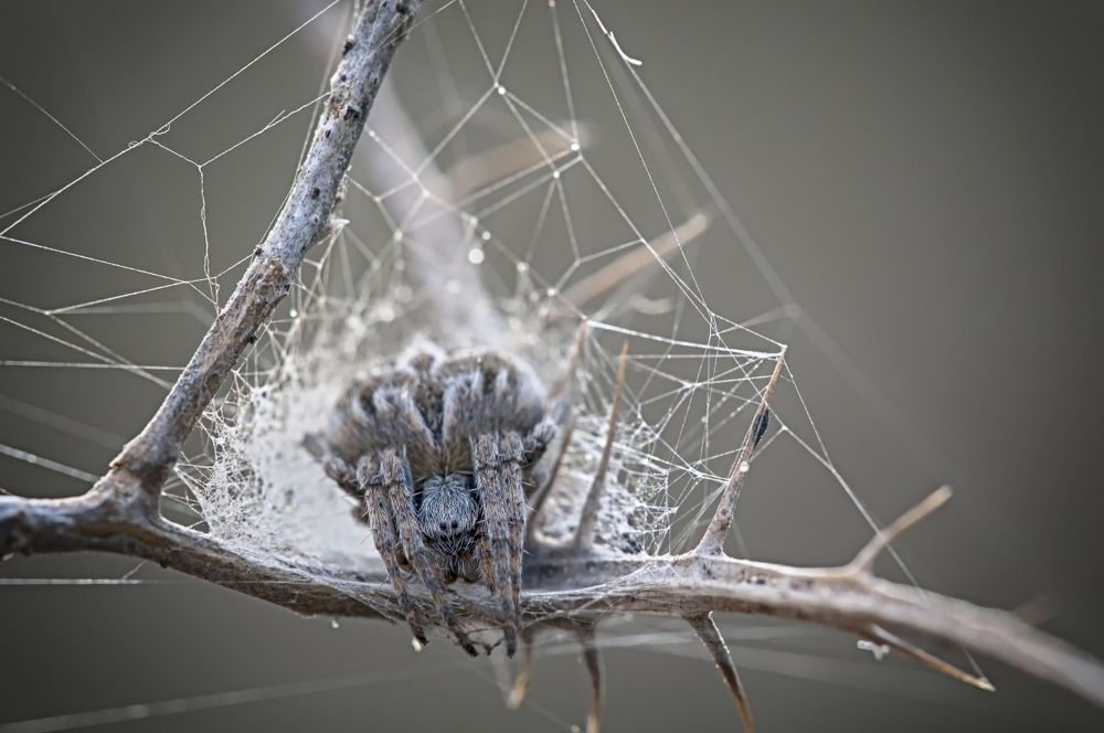 Photograph by Михаил Домешек