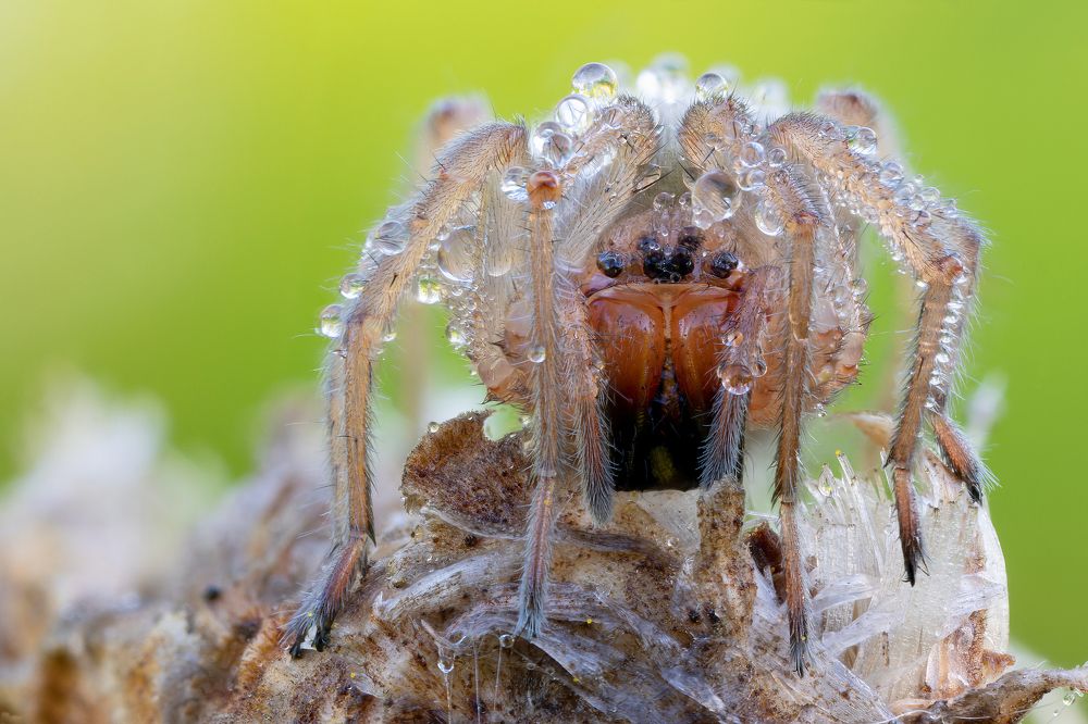 Photograph by Кузнецов Дмитрий