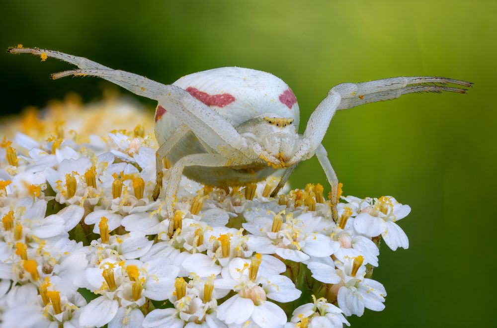 Photograph by Кузнецов Дмитрий